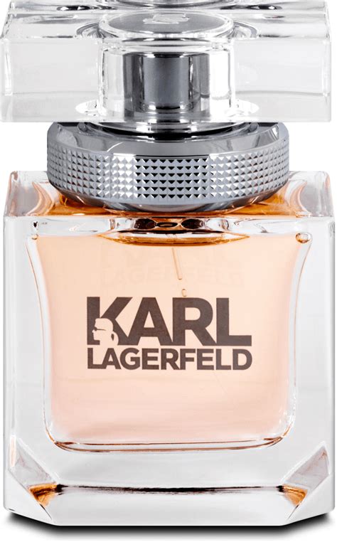 karl lagerfeld parfum dm